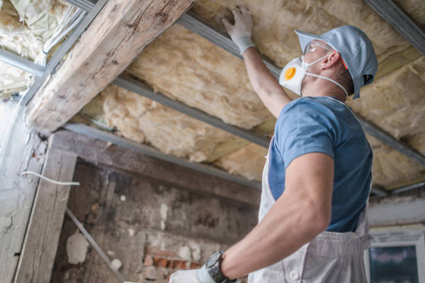 Best Blown-in Insulation in Floydada, TX