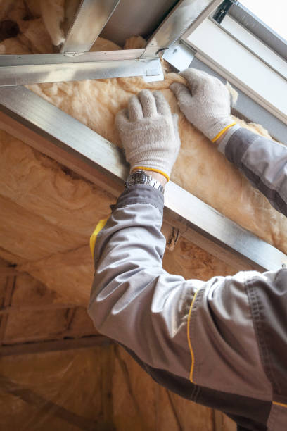 Professional Insulation Contractor in Floydada, TX